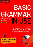 Basic Grammar in Use (4th Edition).pdf